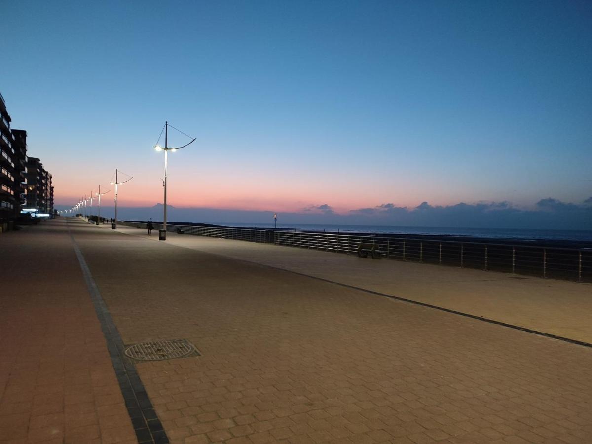 Zilverzand Aan Zee - Frontaal Zeezicht Koksijde Εξωτερικό φωτογραφία